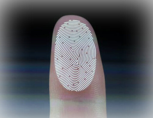 Каждый человек отличается друг от друга не только отпечатками пальцев, но и психическими особенностями, то есть душой.