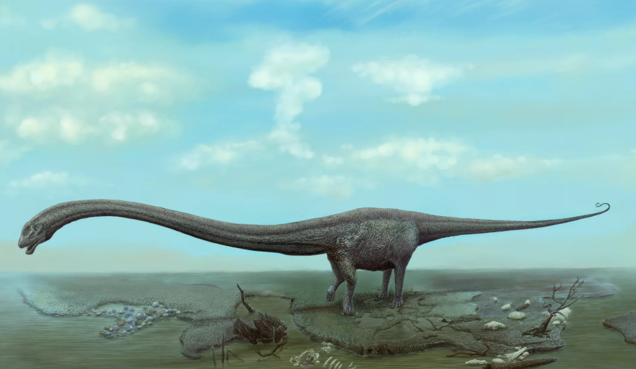 Источник: Популярная наука