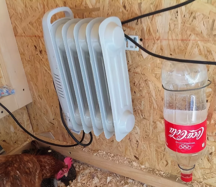 Обогреваем курятник с помощью масляного радиатора