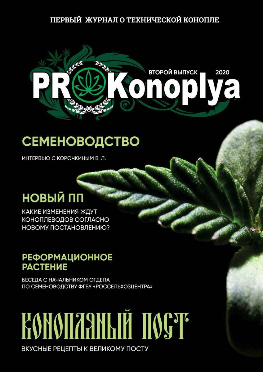 Обложка второго выпуска журнала.