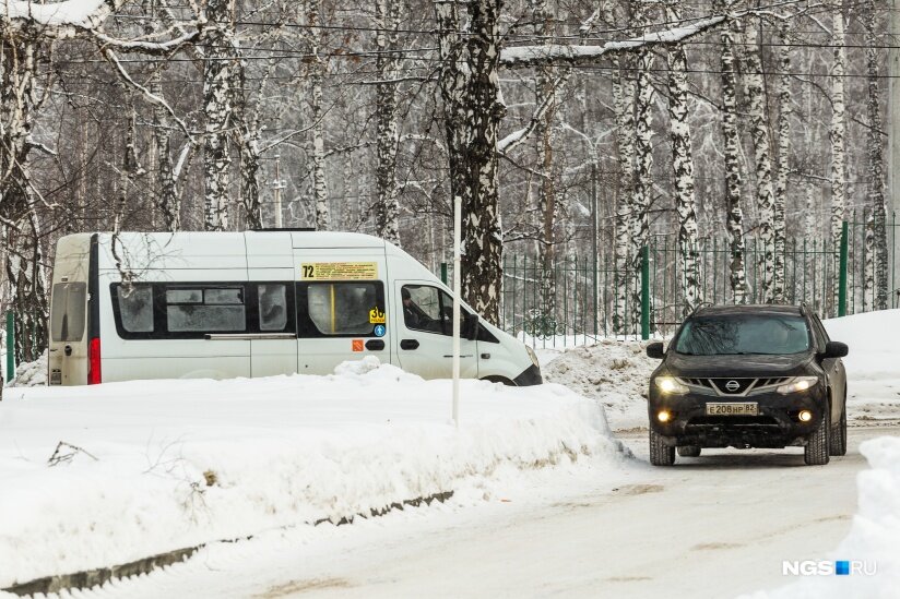 Фото взято из открытых источников