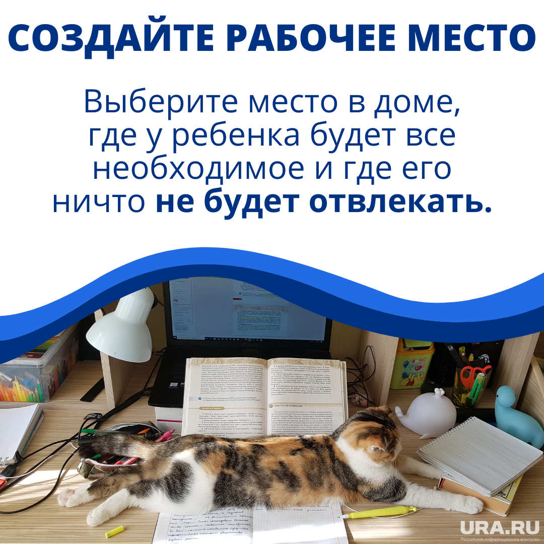 Учиться в комнате с работающим телевизором или кричащими детьми невозможно, поэтому найдите для ребенка такое место, где его ничто не будет отвлекать от учебного процесса.