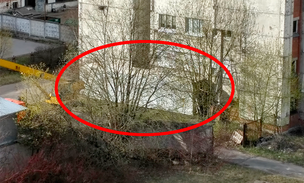 Фрагмент фото читателя сайта фонтанка