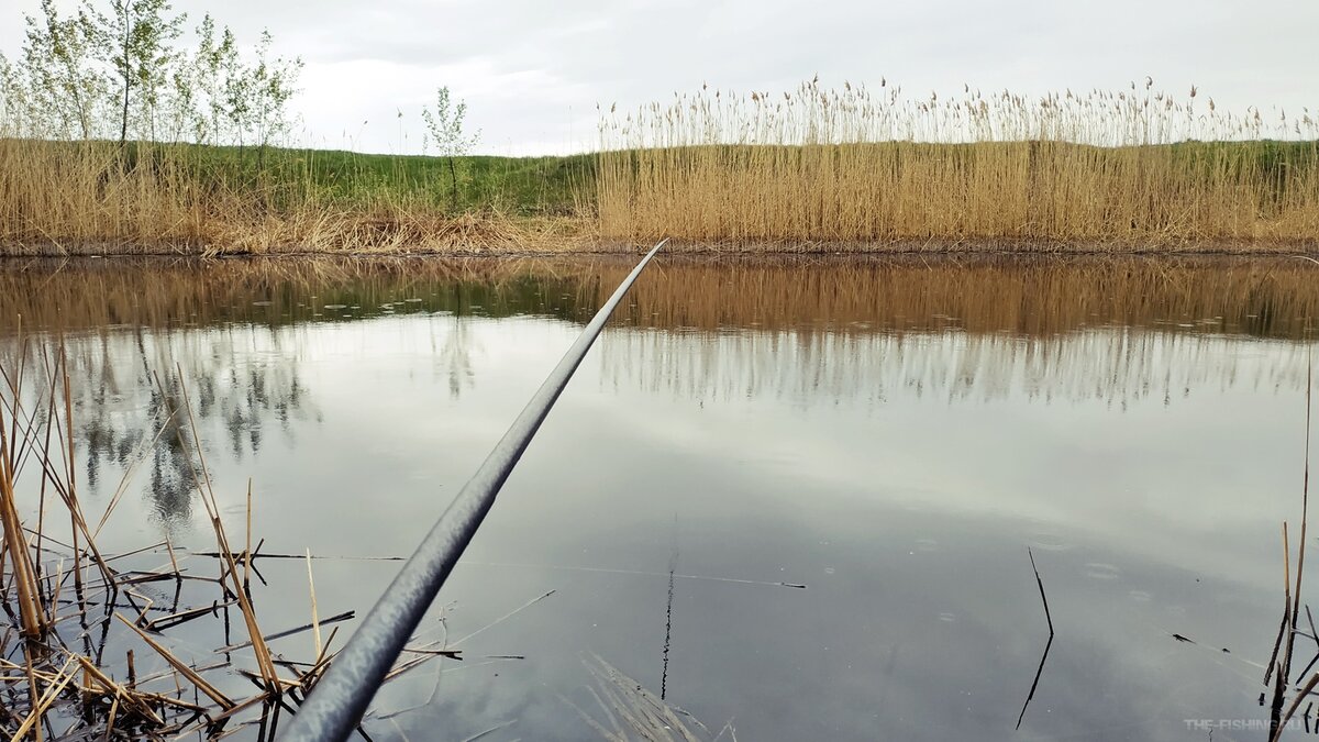 С легкой пятеркой на малой речке