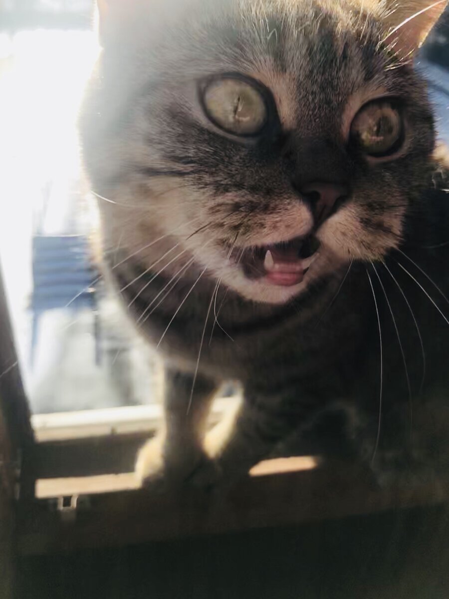 Теперь всё ясно!