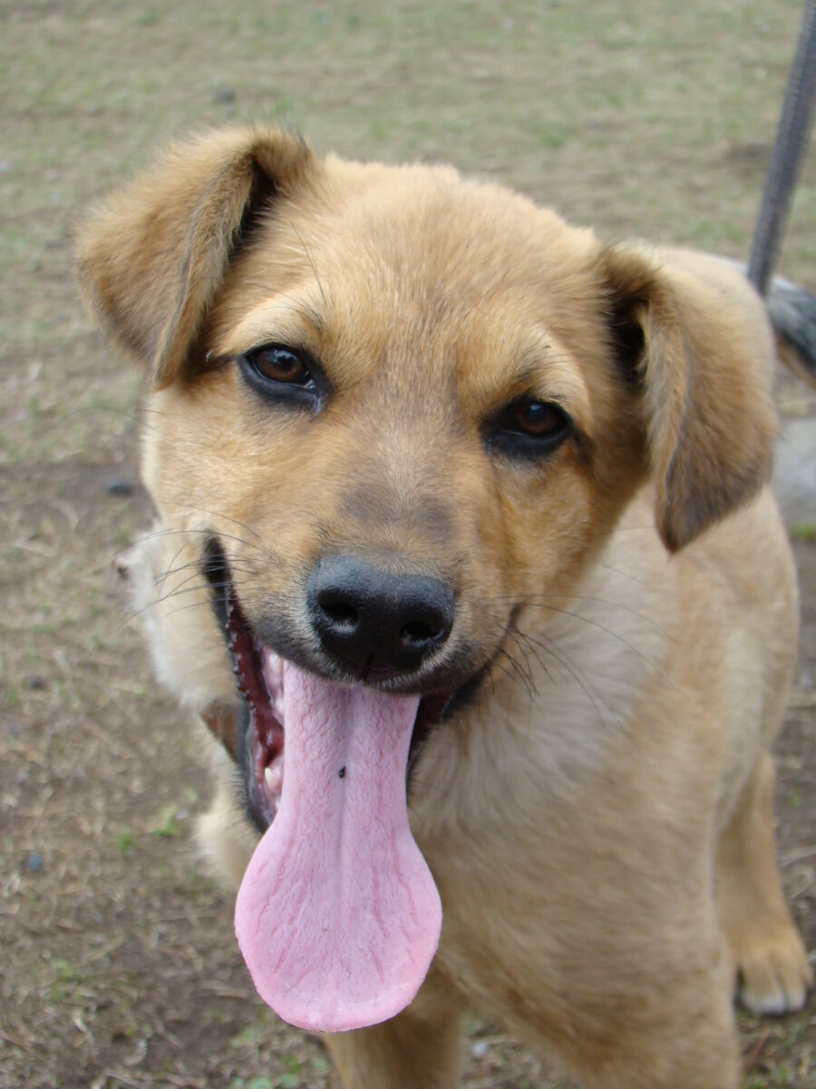 ... и фото-оригинал.