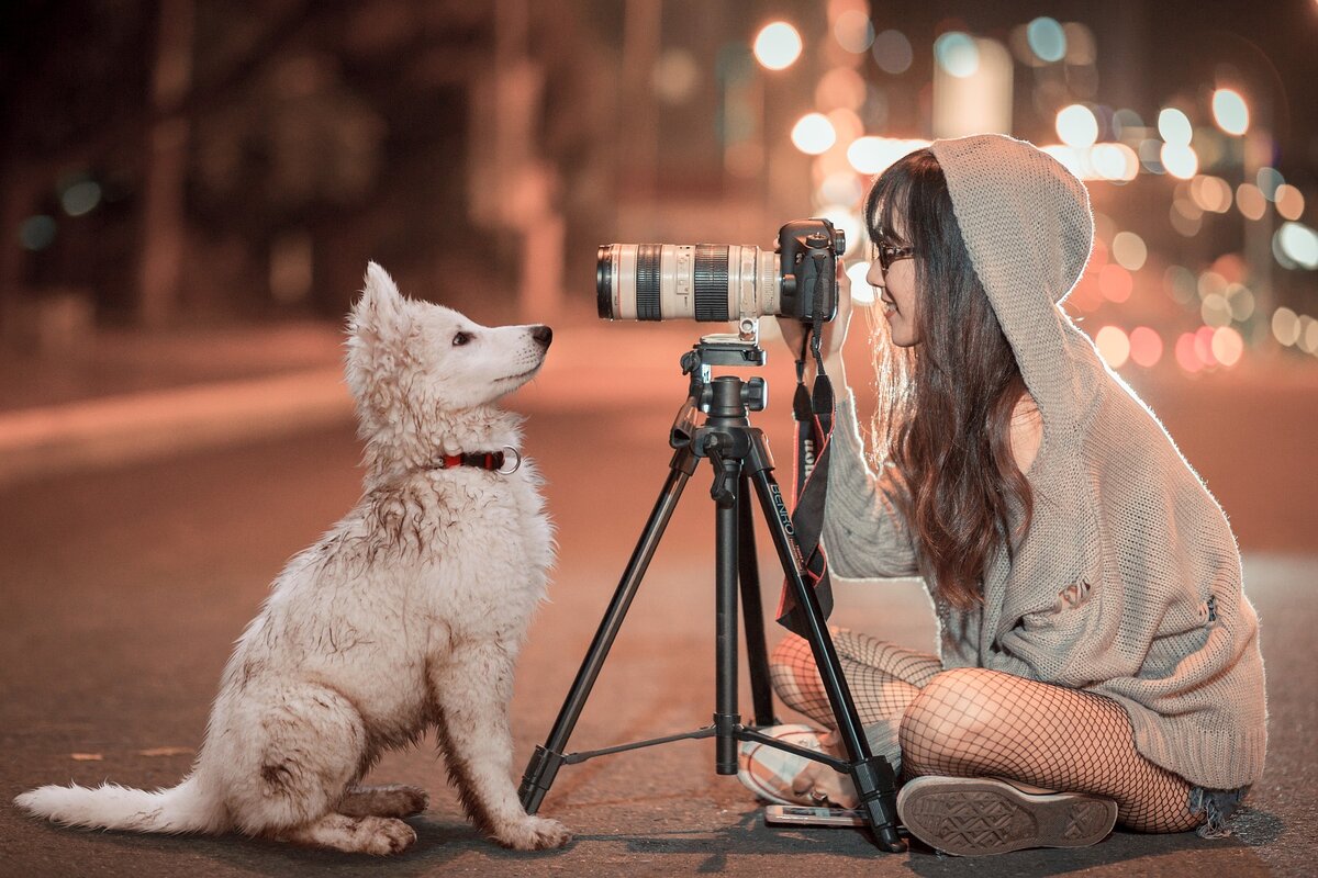 Сам себе фотограф . Как устроить супер фотосессию с помощью Tripod | МИР В  МОИХ ГЛАЗАХ | Дзен