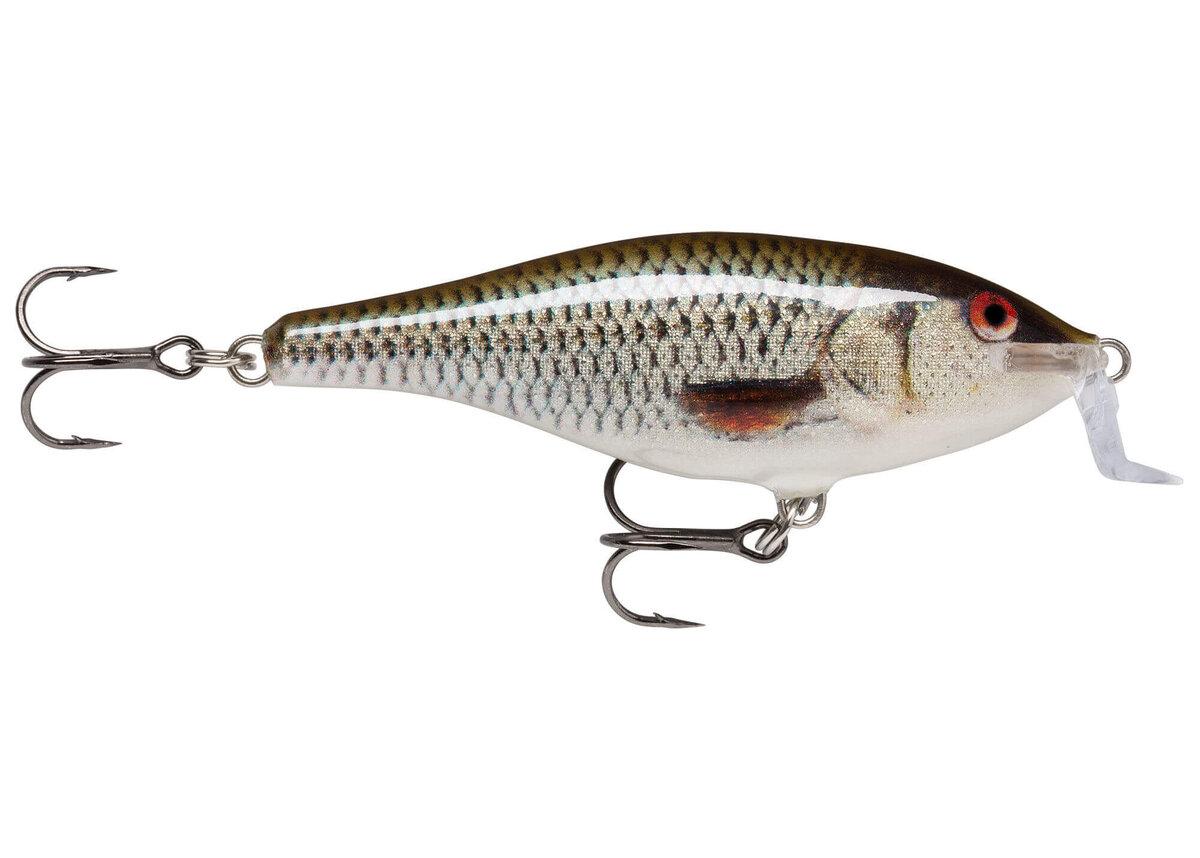 Shallow  Shad Rap