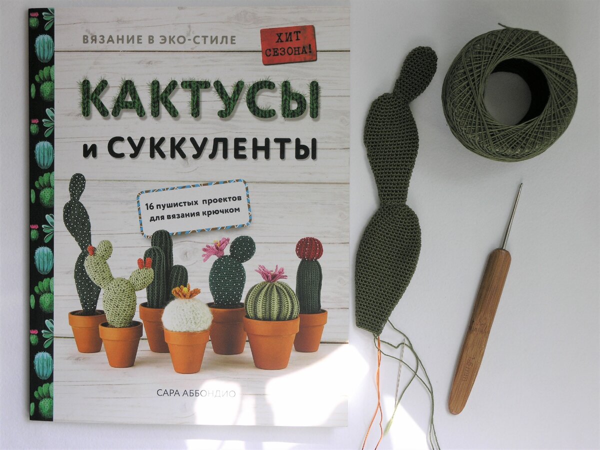 Вяжу опунцию мелковолосистую (на обложке книги первая слева). Из ЯрнАрт VIOLET, без набивки, на проволочном каркасе, будет расшита белым бисером.