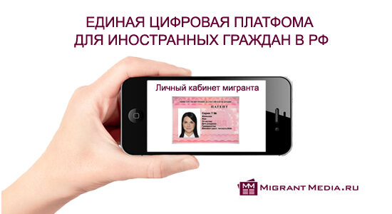 МВД анонсирует единую базу данных мигрантов