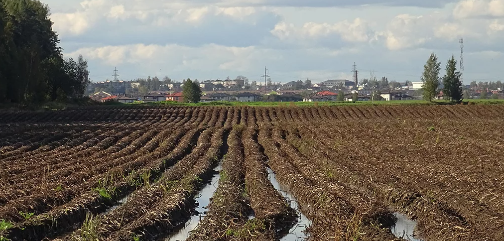 Не утоните в болоте проектирования )))...