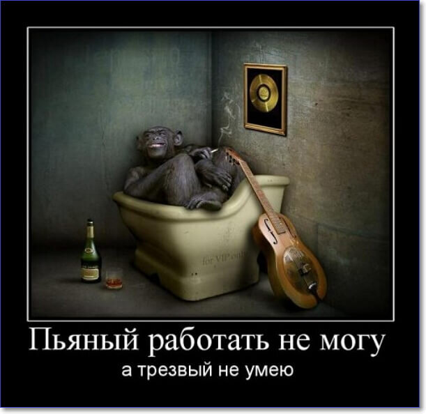 Фото взято из открытого доступа.