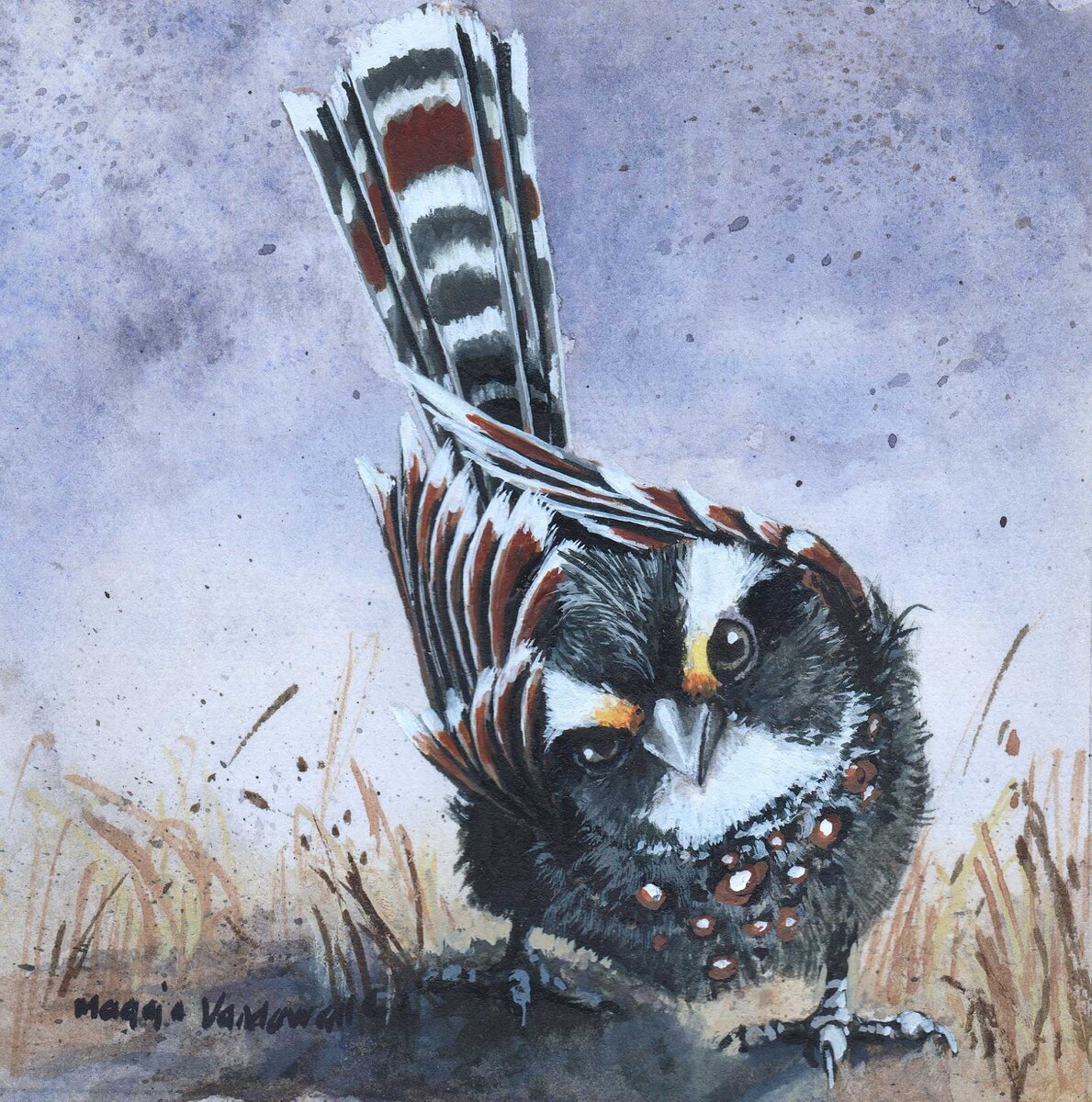 Maggie Vandewalle