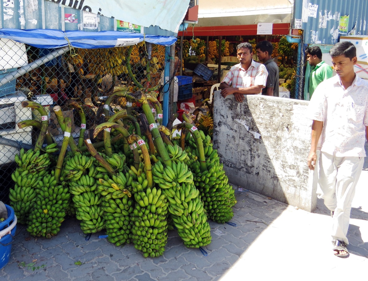 Оптовая продажа бананов