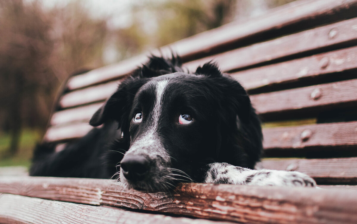 Фото: https://yandex.by/collections/card/5c13cb216b35ae005c61294e/