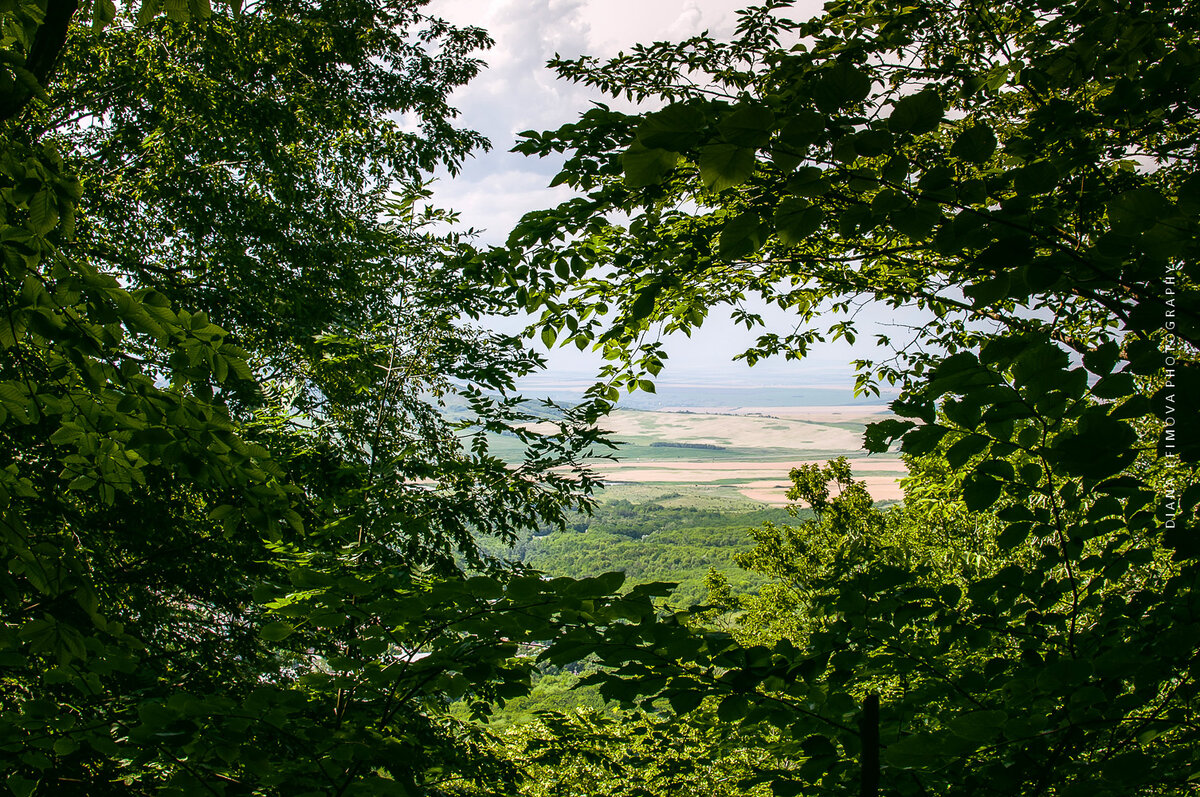 Сбербанк железноводск