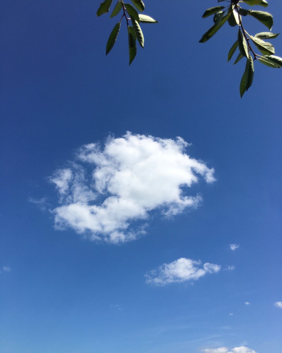 Не смотрите вы, пожалуйста, с высока,