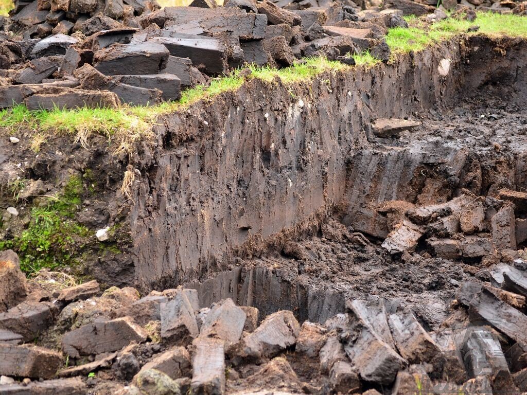 В этой статье мы расскажем, как добывают торф