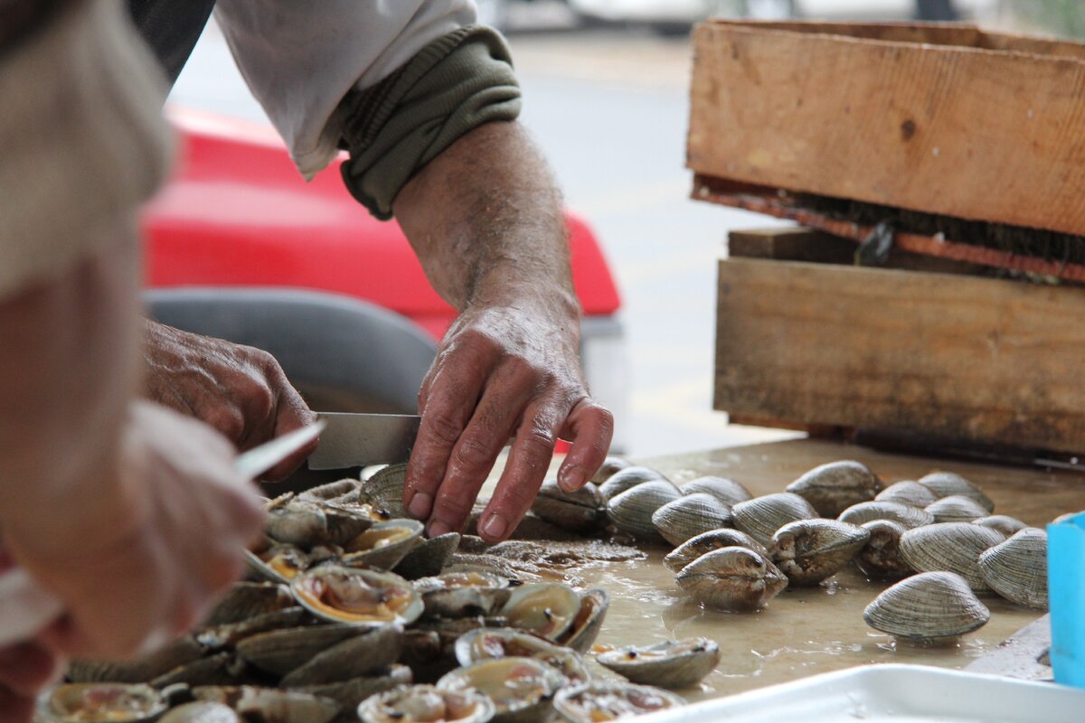 фото мидий на рынке в Сантьяго от  Ирмы Совач.