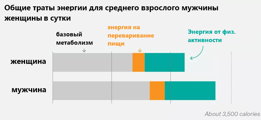 источник: https://www.vox.com/