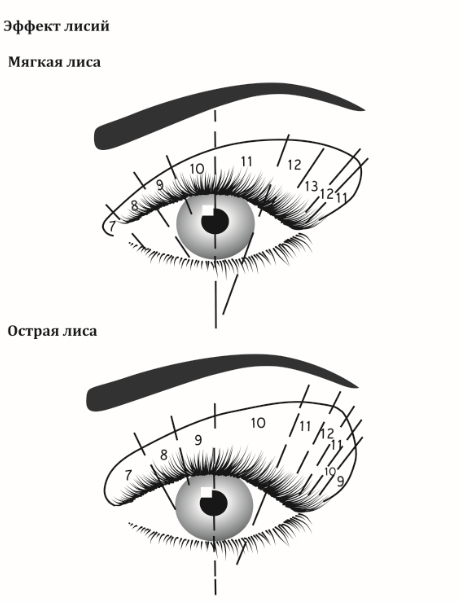Натуральный эффект наращивания ресниц схема