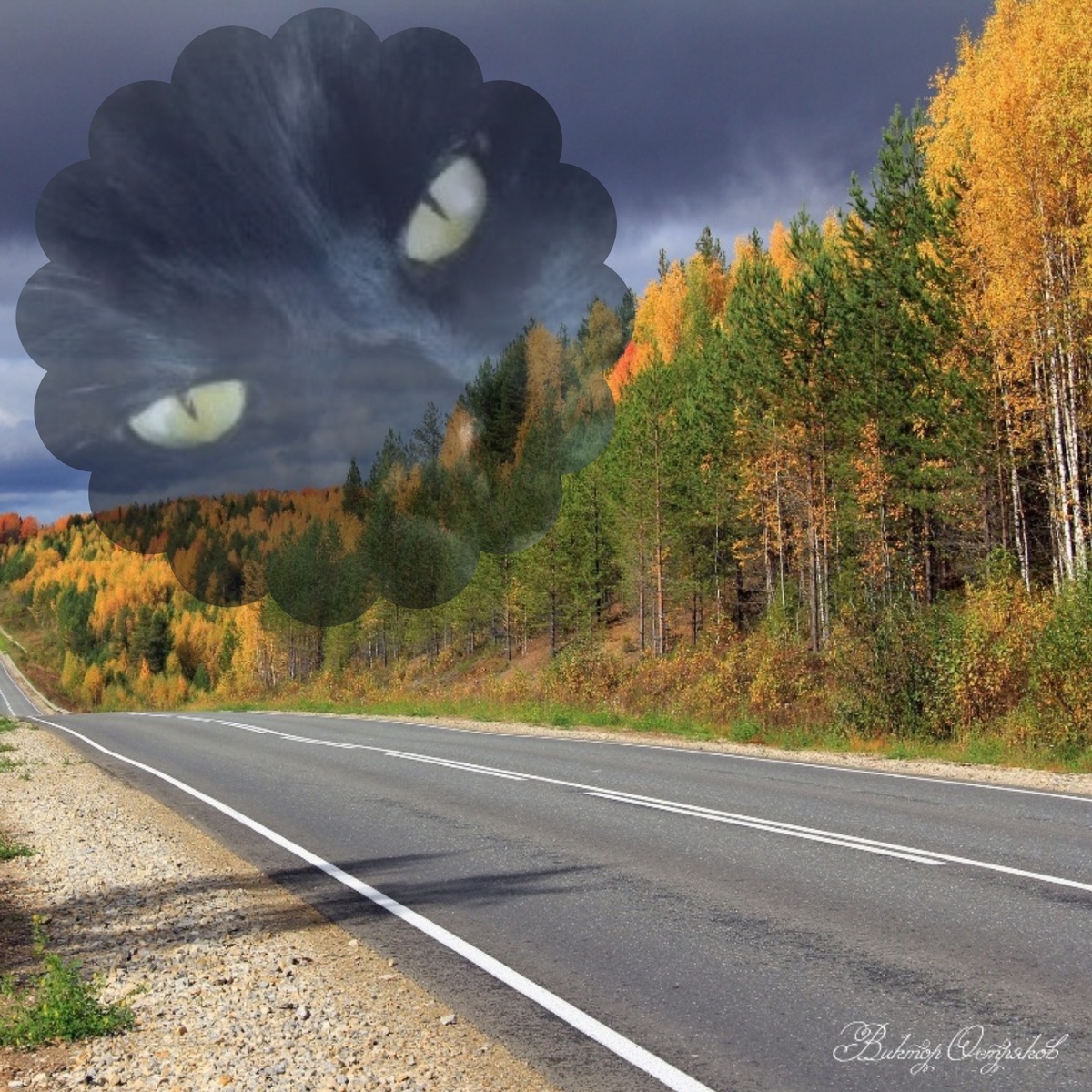 Фото пейзажей Коми В.Острякова.