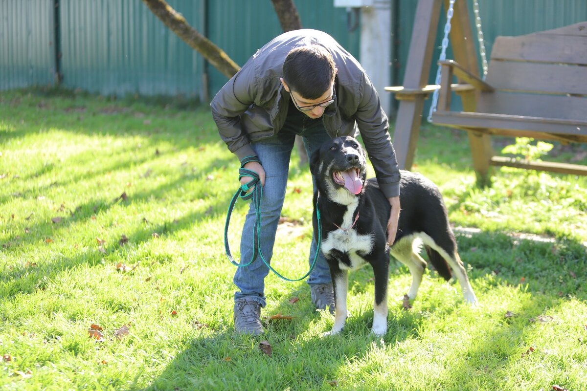 Банда Дворян. Джемма