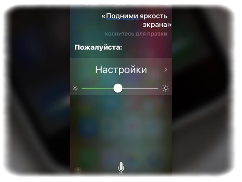 Фото из открытого источника