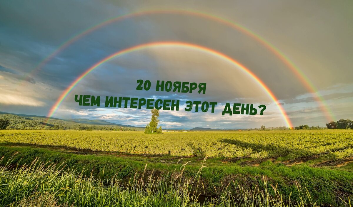 20 ноября, отличный день