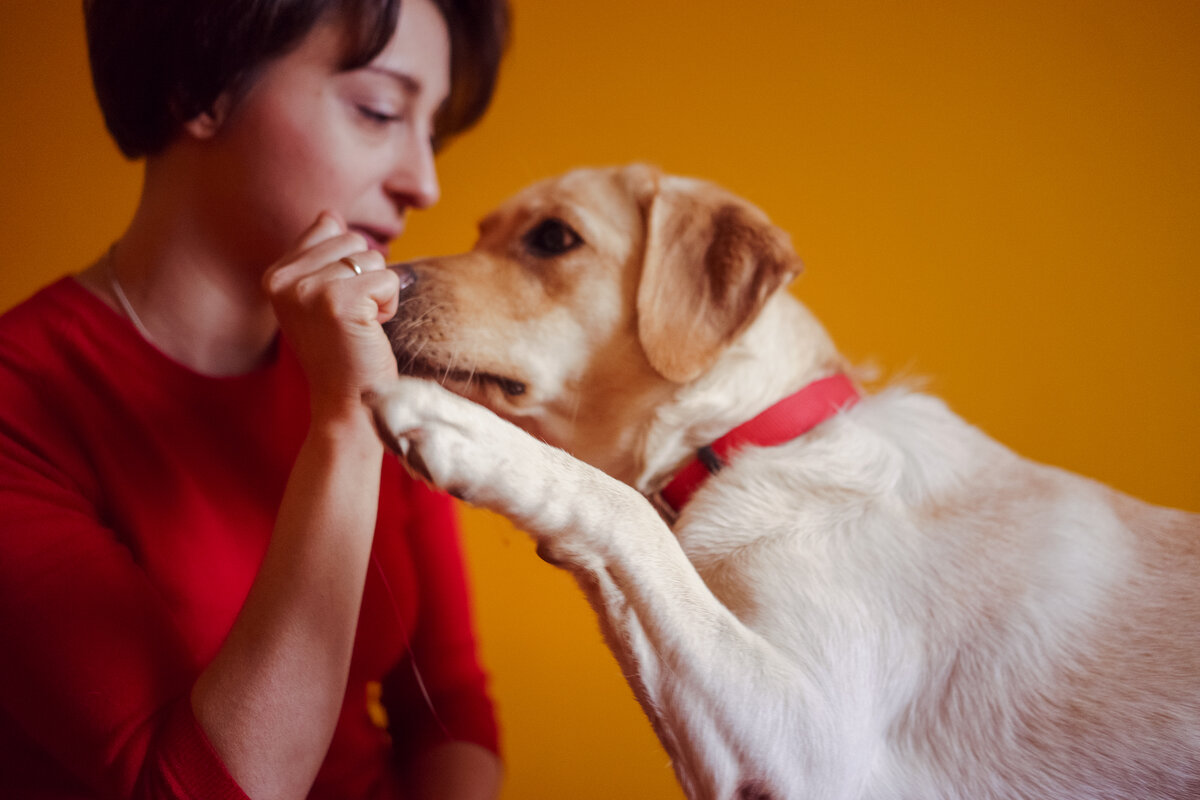 Фото: Станислава Новгородцева для Такие Дела