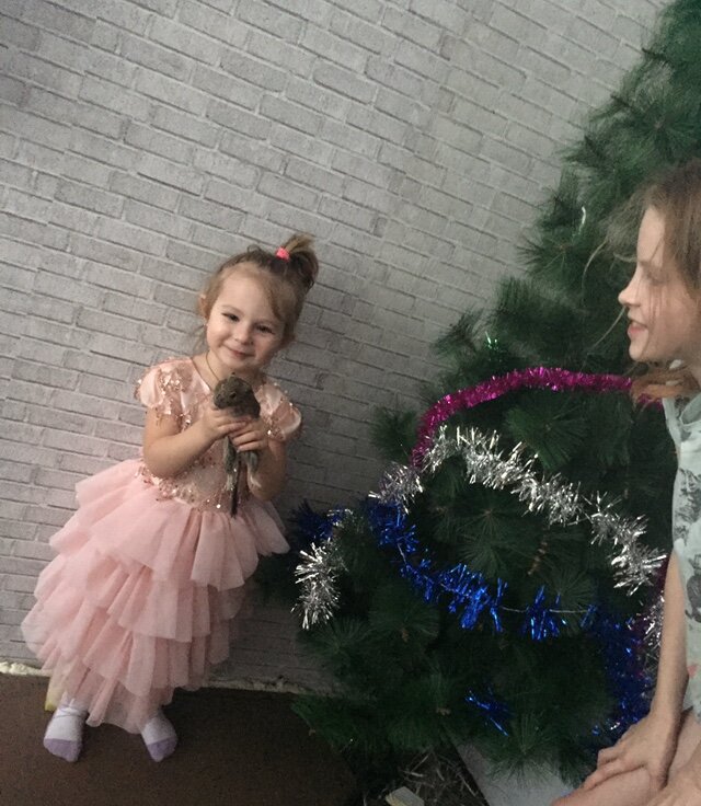 Прошлый Новый год. Рита, Настя и живой символ года (ну или почти символ). Ремонт в разгаре, но было все равно весело.