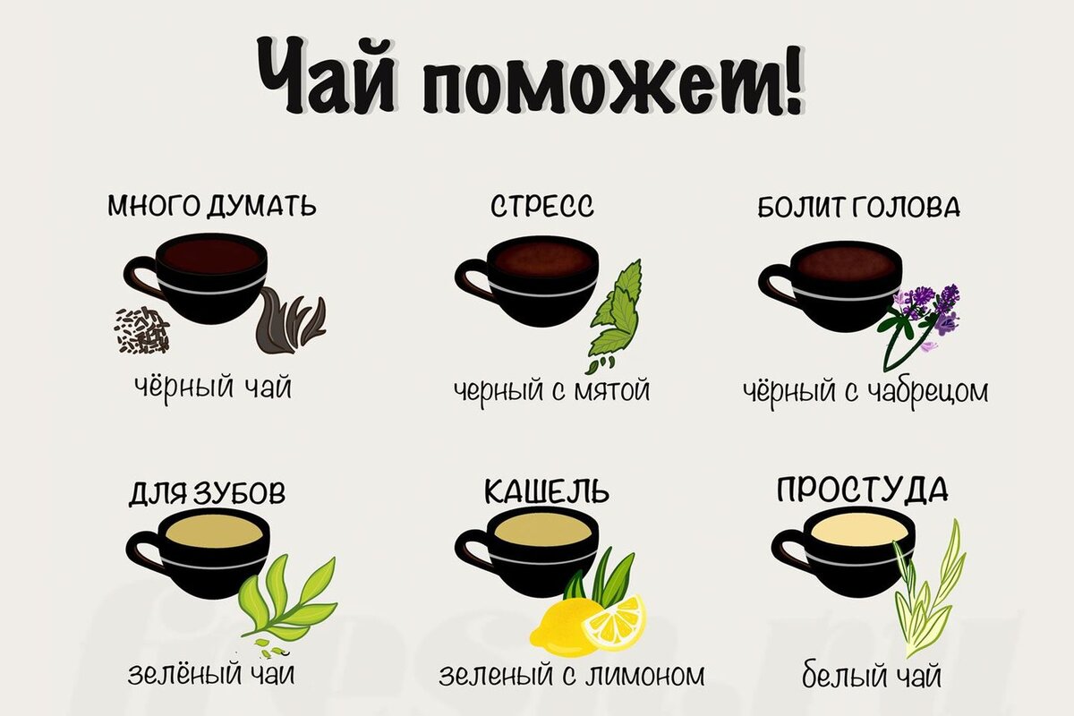 Гид по чаю: от черного до травяного! Какие из них лечат болезни? Расскажу  подробно обо всех видах. | Fresh.ru домашние рецепты | Дзен