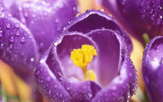 Картинки из интернета.