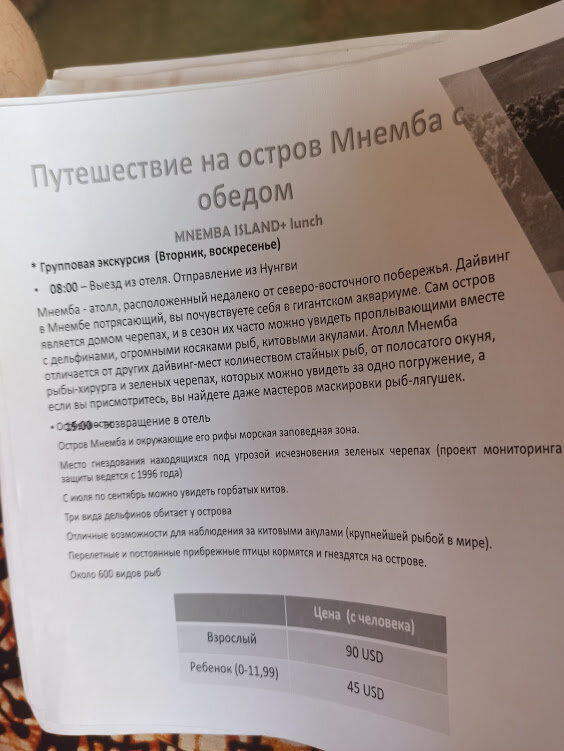 Предложение от #SanMar