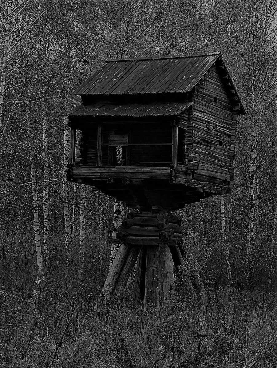 Изображение Яндекс.Картинки