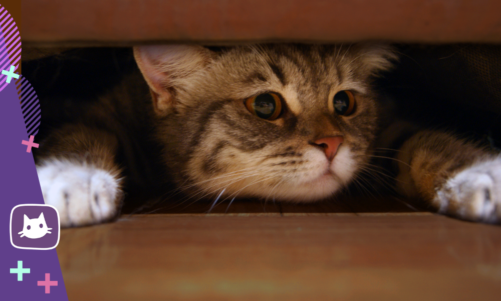 Изучение причин страха