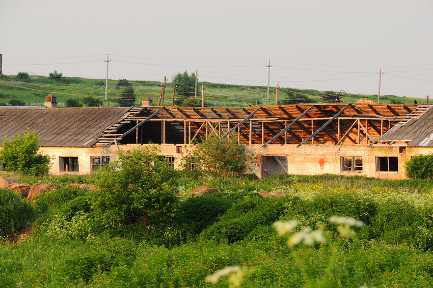 Ферма в Тёмной России