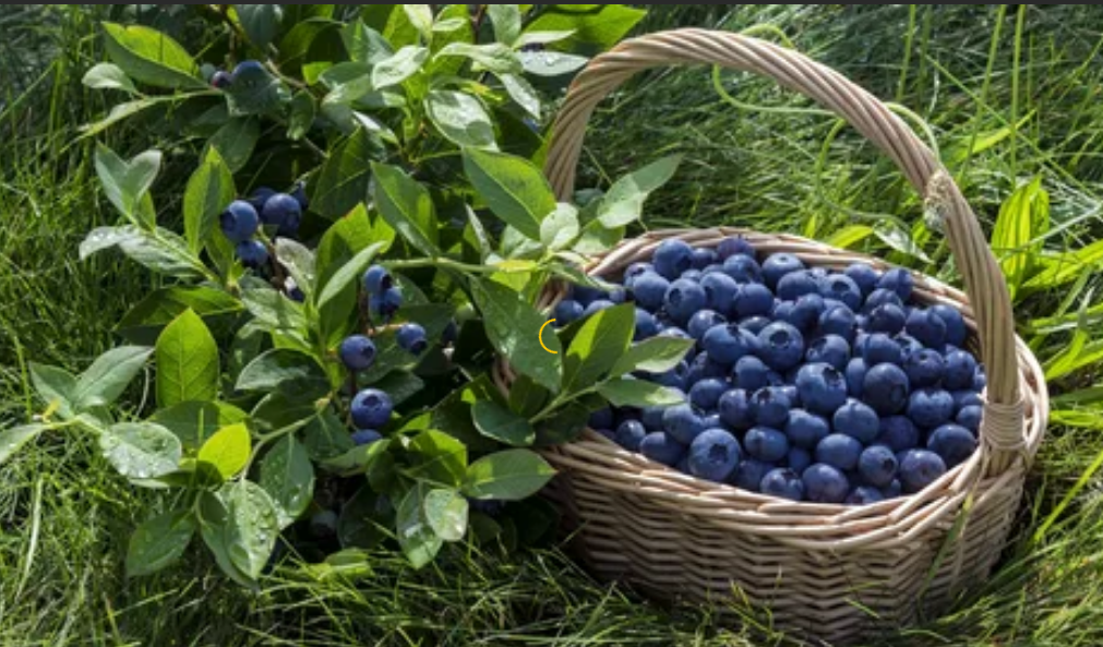 Людям бывает сложно понять друг друга.  Доброта воспринимается как слабохарактерность, а излишняя строгость как попытка унизить или подчинить себе.-3