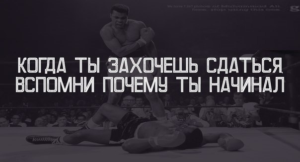 Надежда Токарева