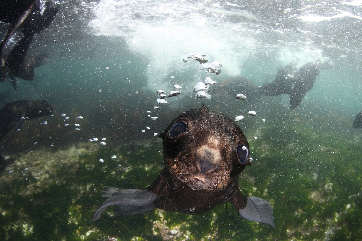 Исходный файл