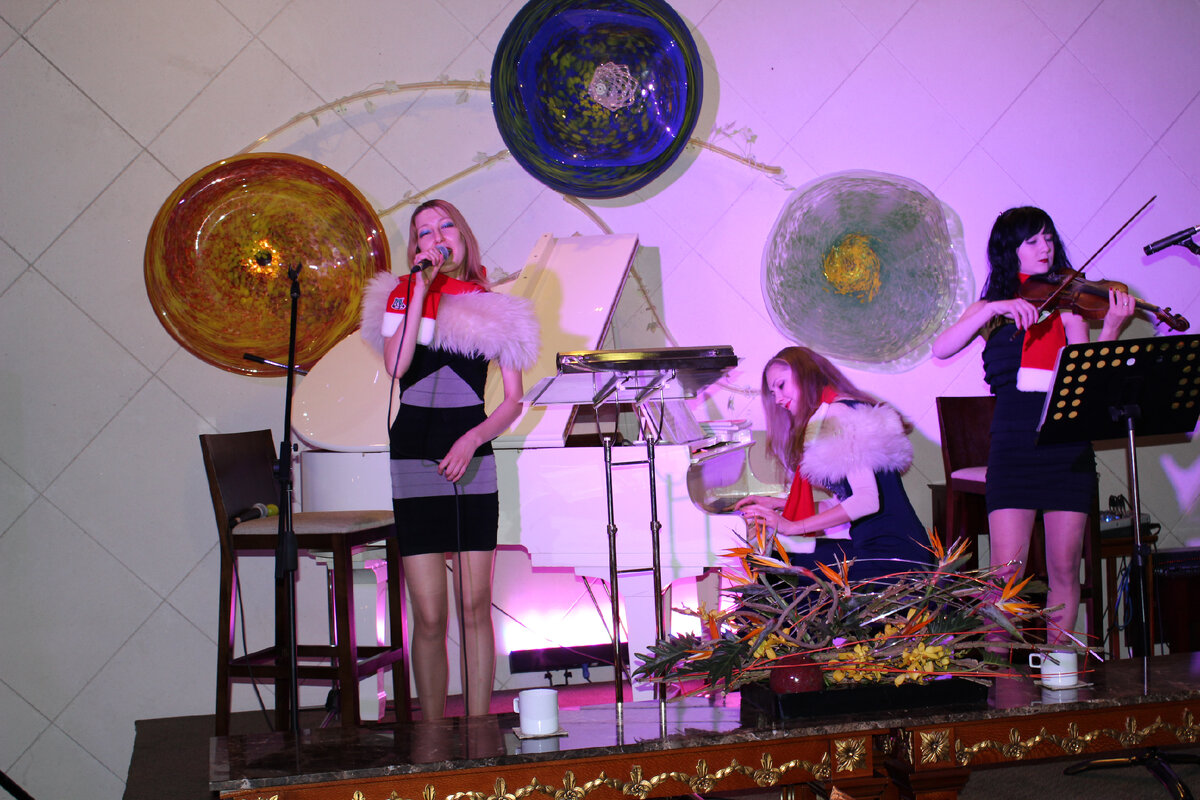 Наш вокально-инструментальный ансамбль