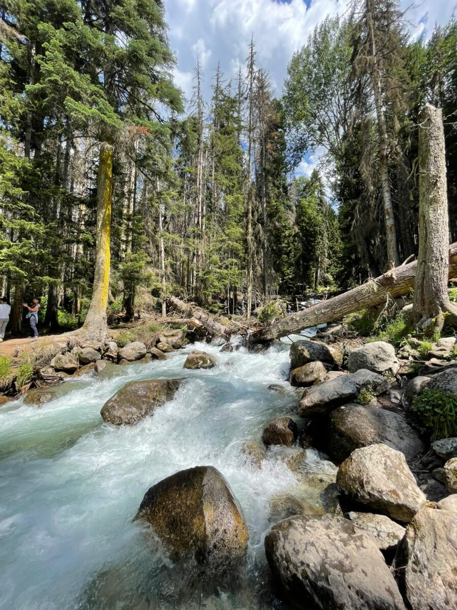 Это водопад, который мы встретили по пути в Домбай