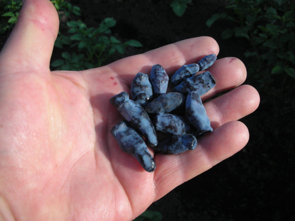 Фото автора статьи