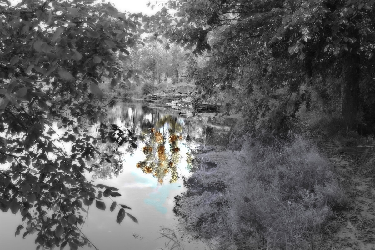 Фото с телефона, обработано