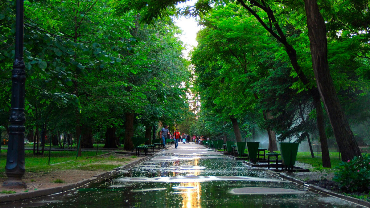 парк в саратове