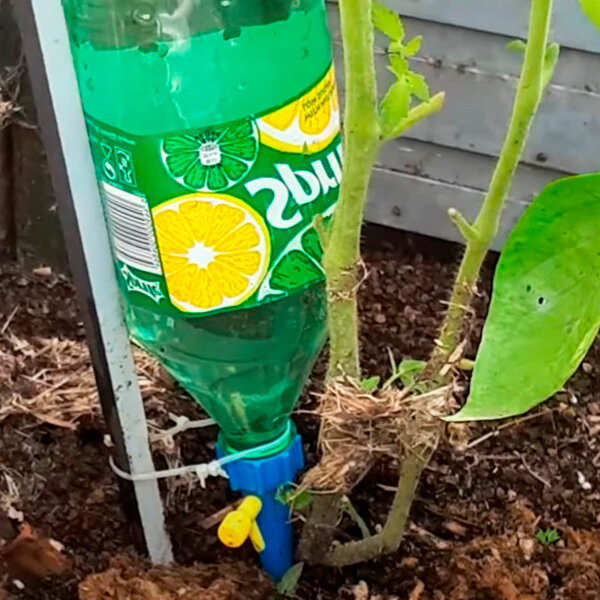 система капельного полива