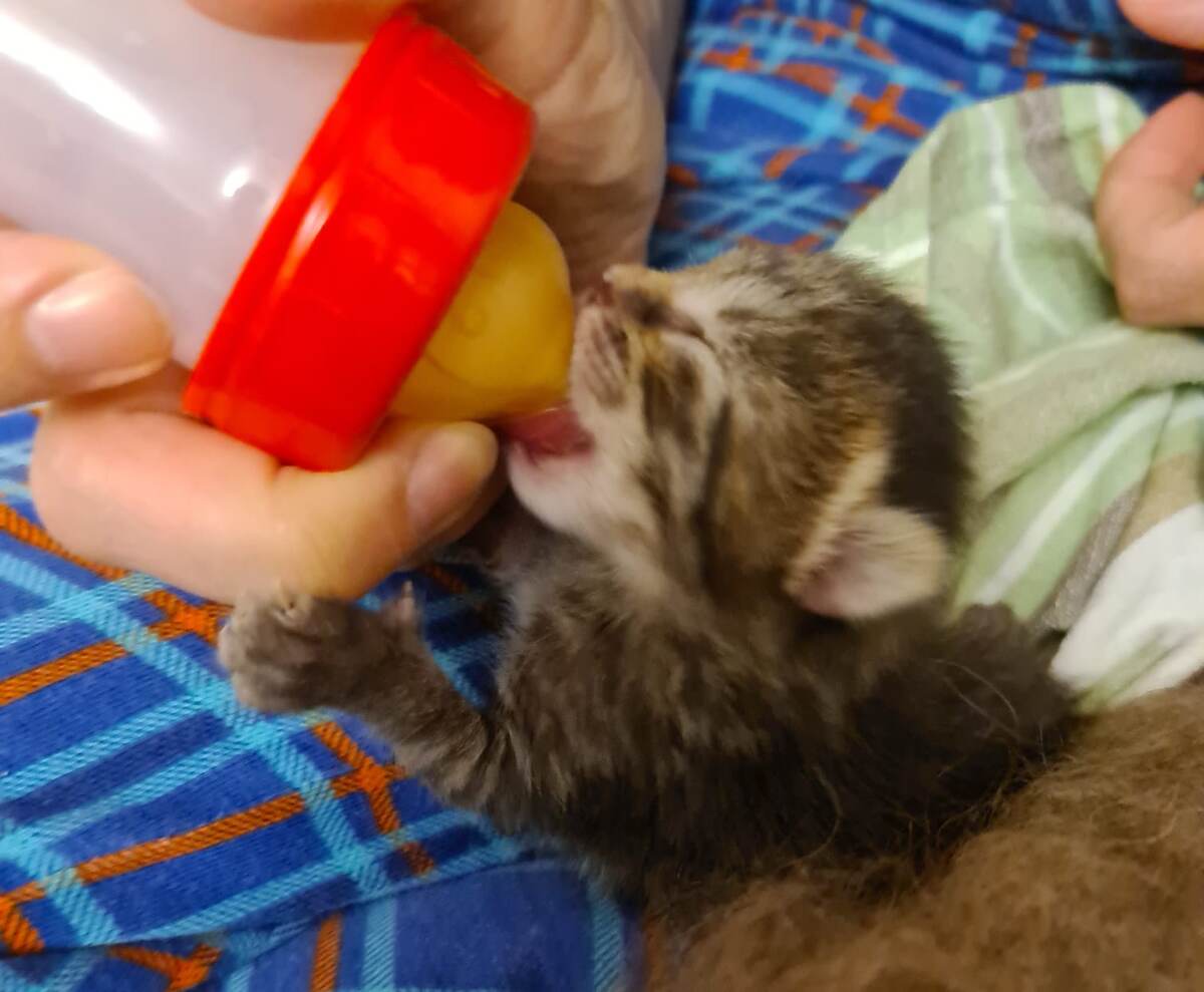 А не пора ли нам подкрепиться?