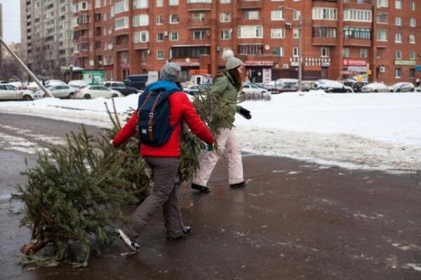  Источник фото: https://static.orgpage.ru/ 