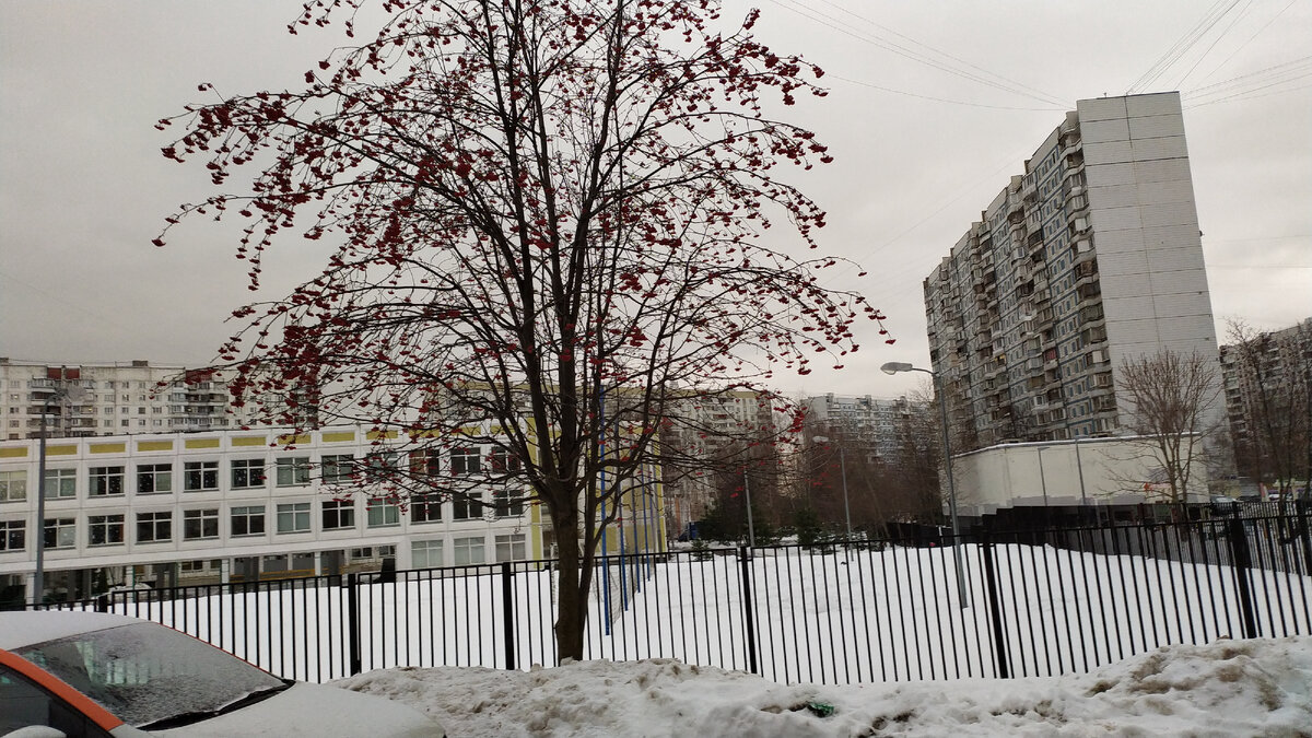 Школа (фото автора)