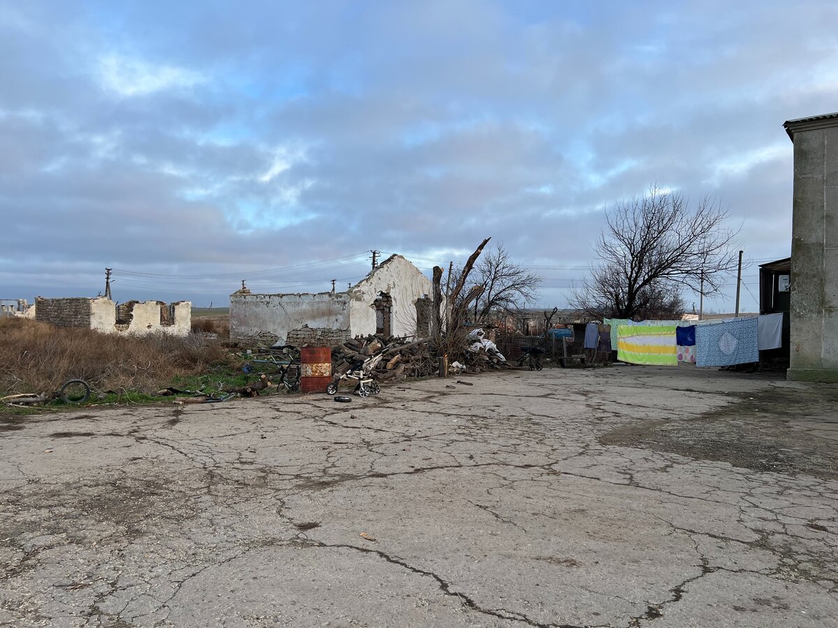 Фото: Полина Улановская / SOTA